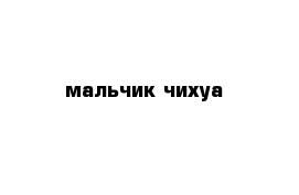 мальчик чихуа